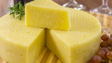 Photo of Основы приготовления сыра в домашних условиях