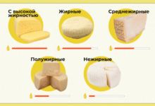 Photo of Разнообразие сортов сыра и их классификация