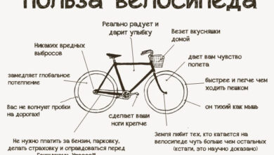 Photo of Особенности выбора горных велосипедов