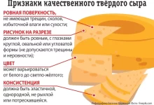 Photo of Основные критерии выбора сыра